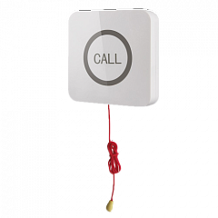 Кнопка вызова iBells 310S влагозащищенная со шнуром для МГН в Королёве
